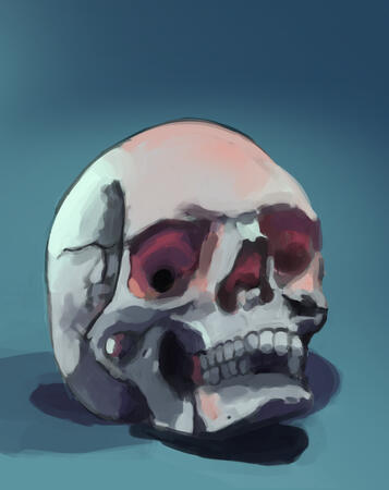 Skull